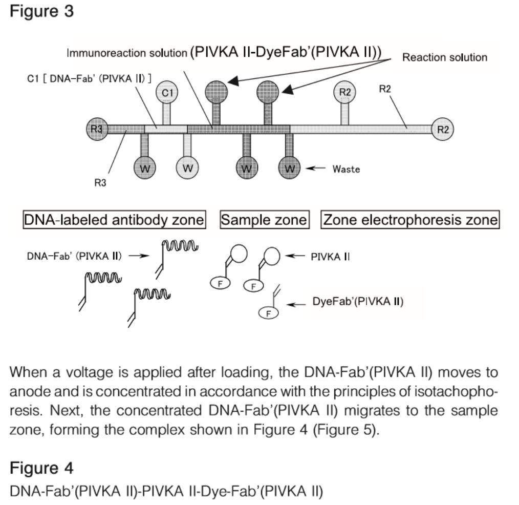 Principle of the Method