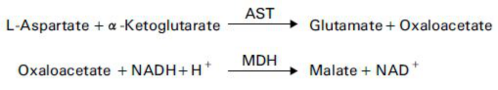 Aspartate Aminotransferase (AST) Principle of the Method