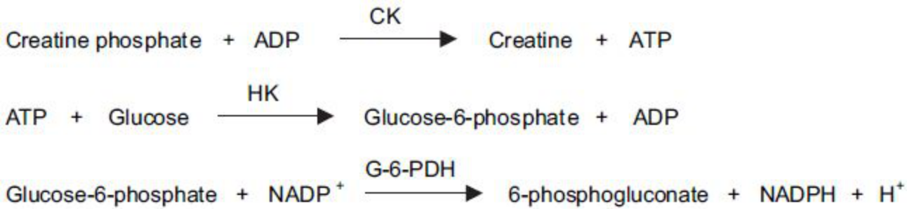 Creatine Phosphokinase (CPK) Principle of the Method