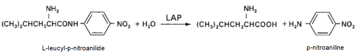 Leucine amino peptidase (LAP) Standard Procedure