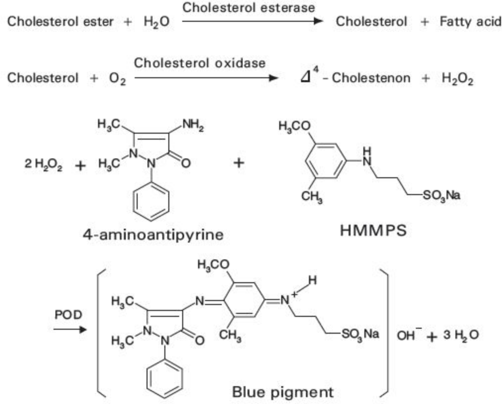 Total Cholesterol (T-Cho) Principle of the Method