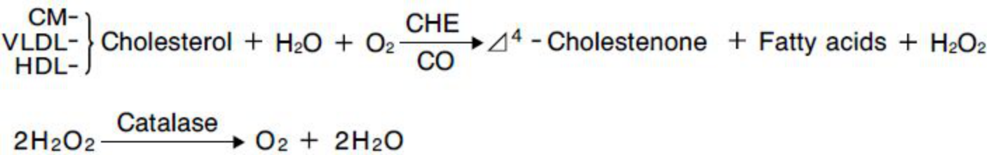 LDL Cholesterol (LDL-C) Principle of the Method