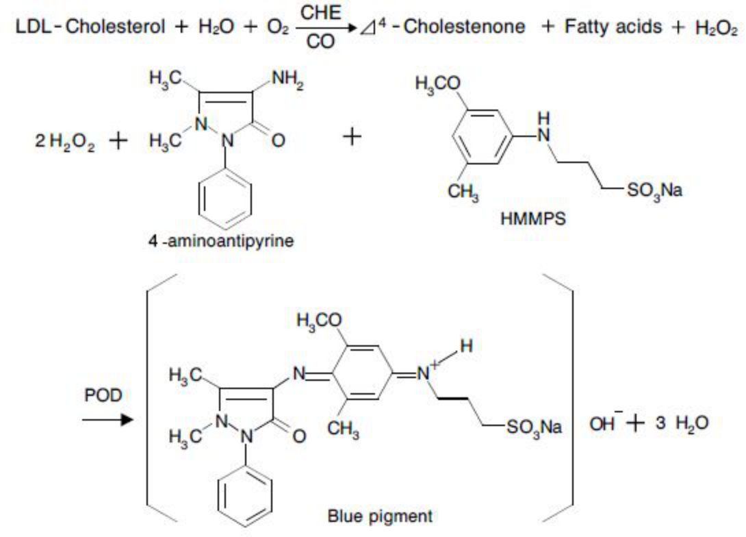 LDL Cholesterol (LDL-C) Principle of the Method