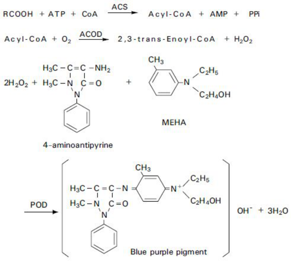 Non-esterified fatty acids (NEFA) Principle of the Method