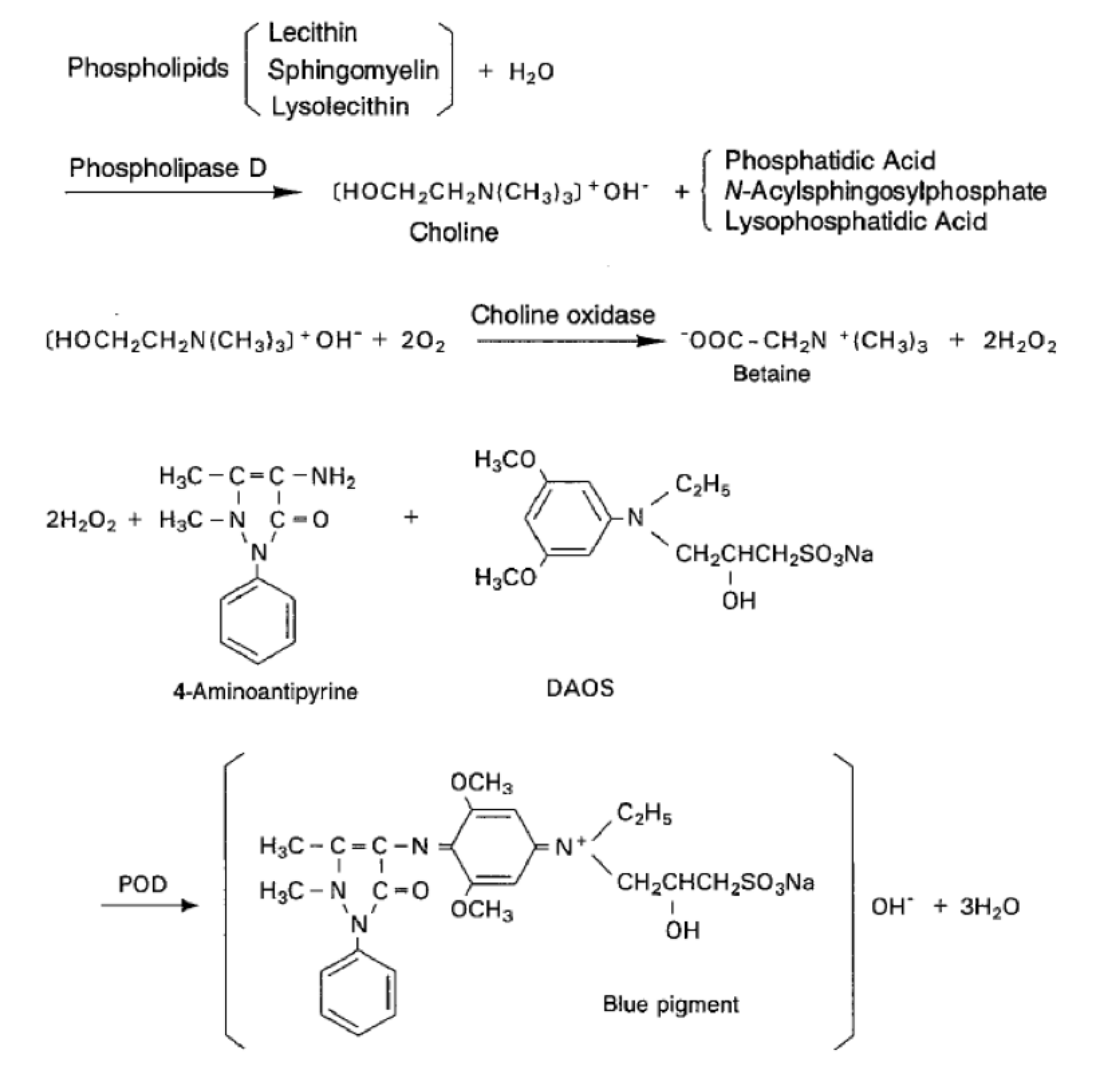 Phospholipids (PL) Standard Procedure