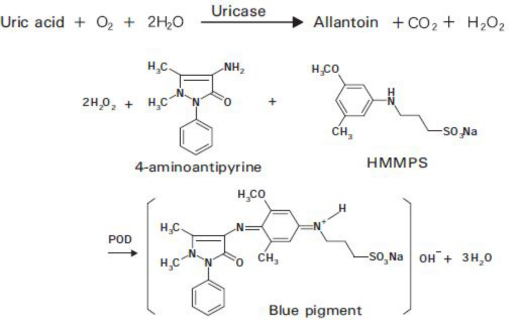 Uric Acid (UA) Principle of the Method