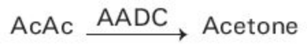 3-hydroxybutyrate (3-HB) Principle of the Method