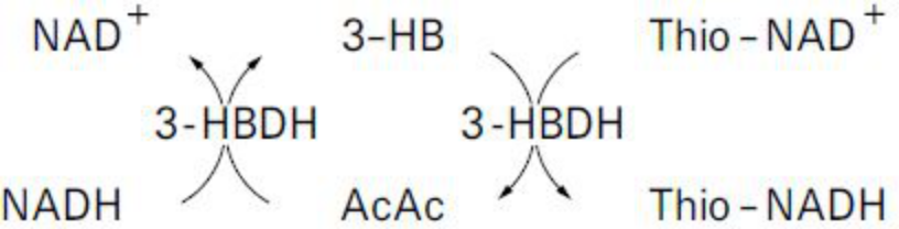 Total Ketone Bodies (T-KB) Principle of the Method